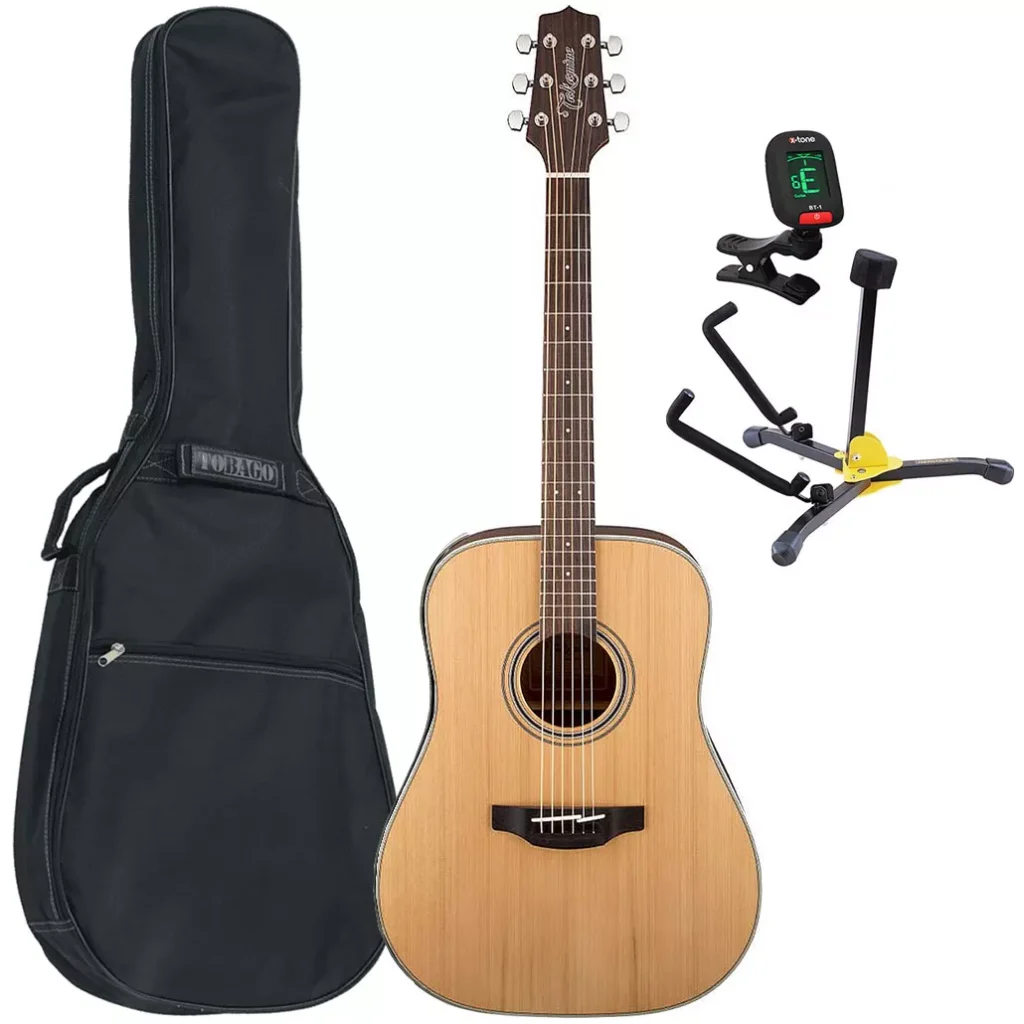 Takamine GD20